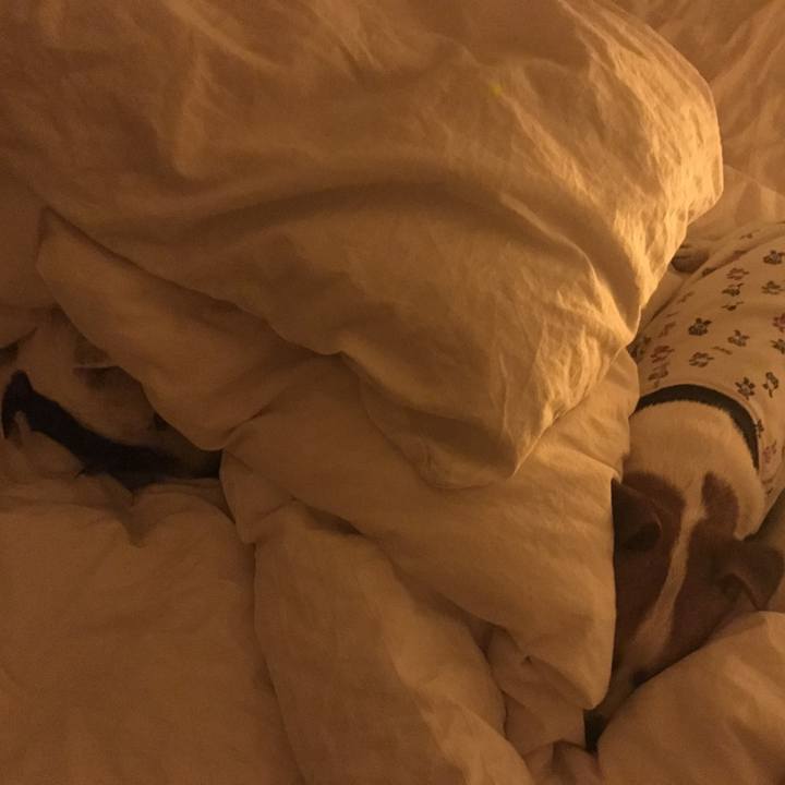 864adb33 1037 4040 aedf 2812fd512824