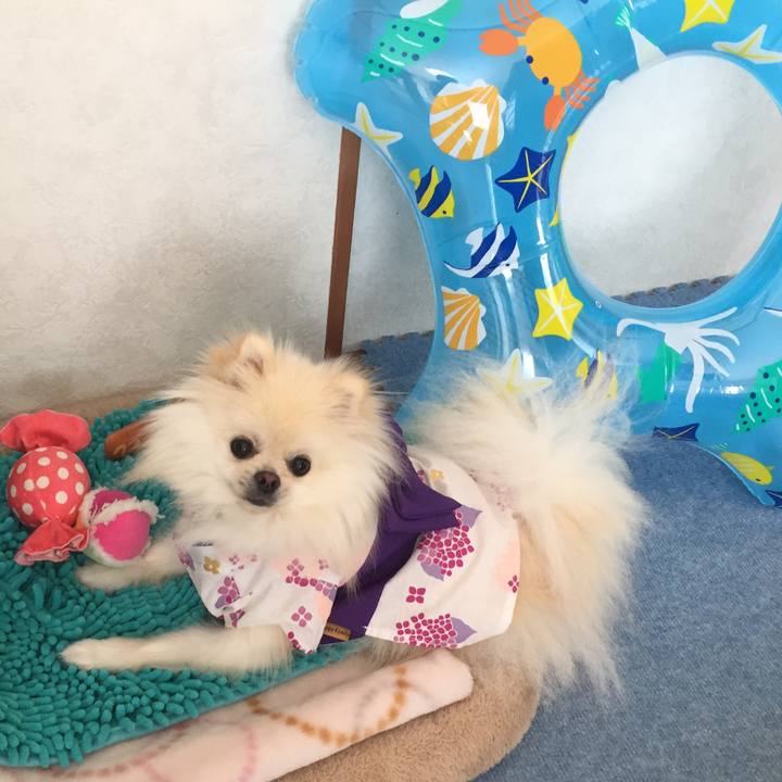 864ae437 339f 4c04 a503 c073781e6d8f