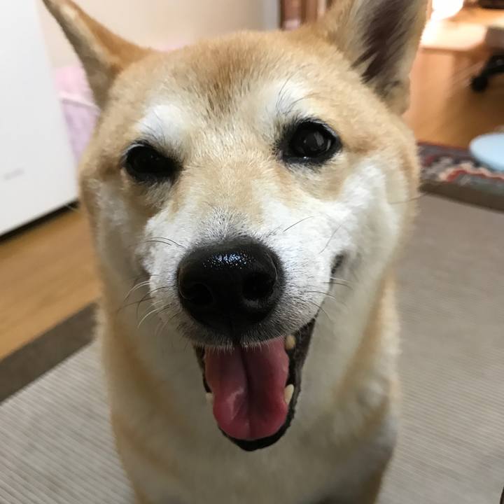 864bc4e4 57b5 499e a971 9e32349f1c1d