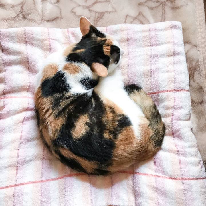 864be031 612f 44a5 8ebf 82c5538b209f