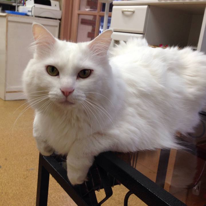 864c12f9 8d0e 465f bf23 4f0c62f126f3