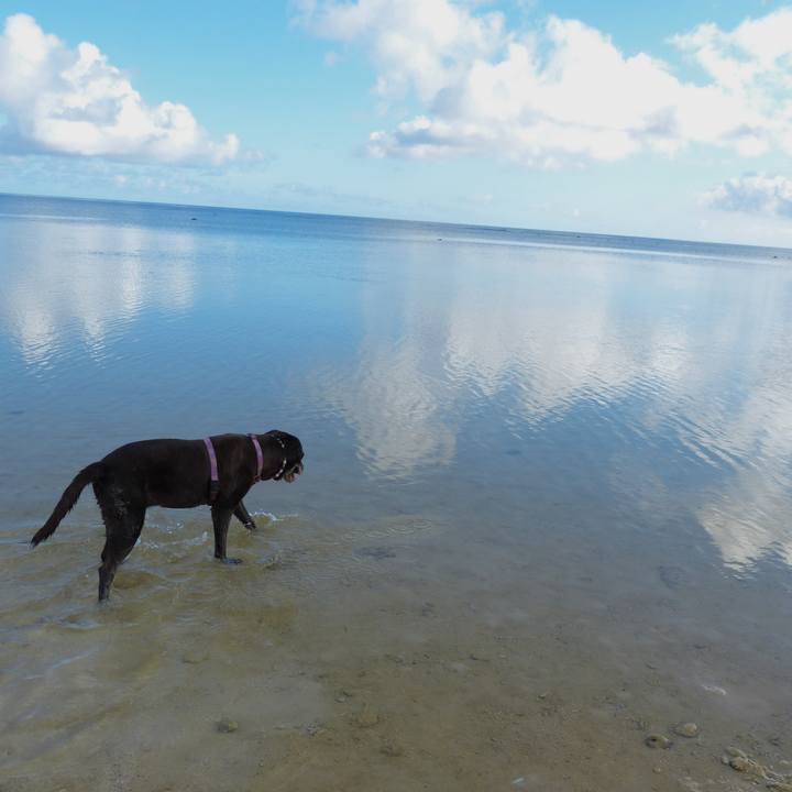 864c215c da83 4d75 b1f5 2d50134c0c45