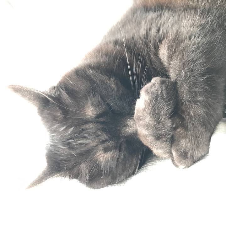 864d56a8 3dac 494a bb79 3a171f3328d2