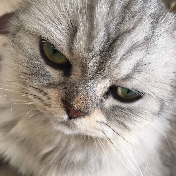 864d81b8 7381 4c13 97bb 402972252763