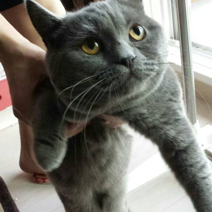 864f5026 5f28 4f73 b761 127576d2efbf