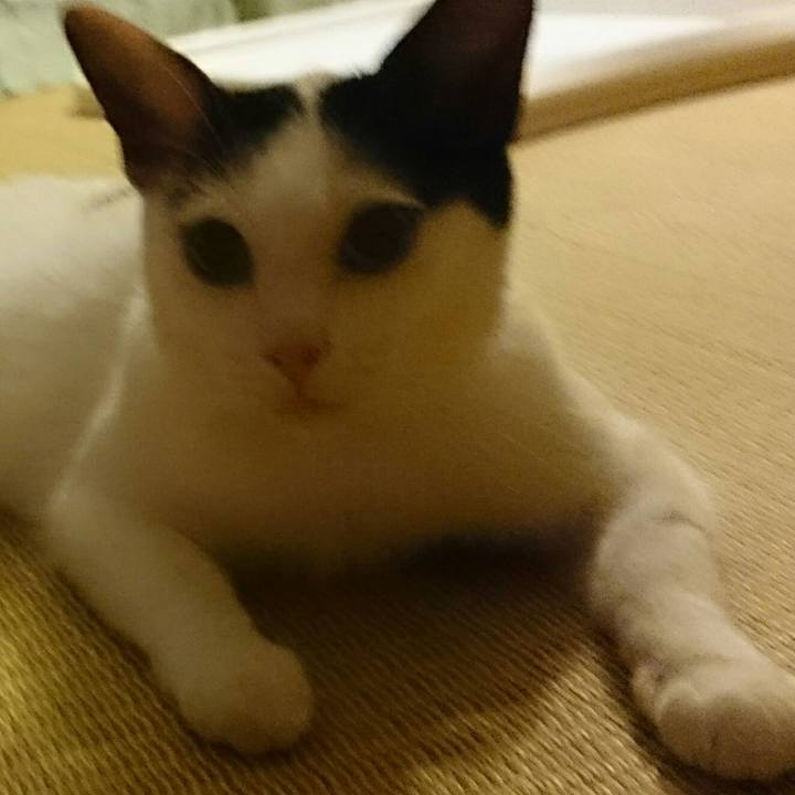 864fce18 f634 4eb2 8620 4d74b23d90b7