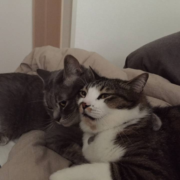 864ff48a 8e9a 4c35 a41c 7c63cf438c08