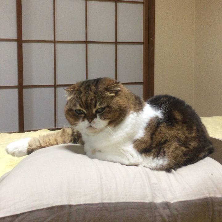 8650c5a9 6bb7 4693 8bcb 3d2573594fe4