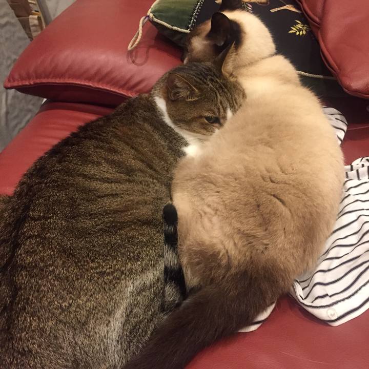 8650f662 35ba 4a33 a1c5 e8eafece6da1