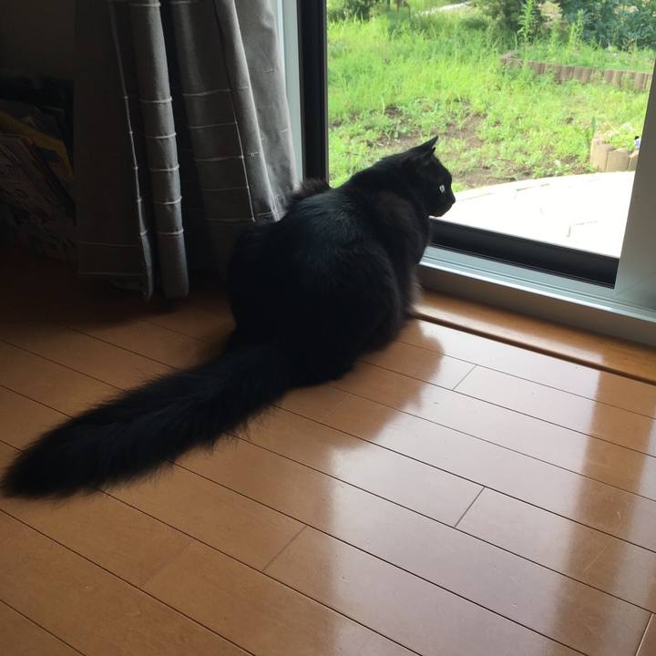 86533219 6c67 40df 88a0 4308e27dde80