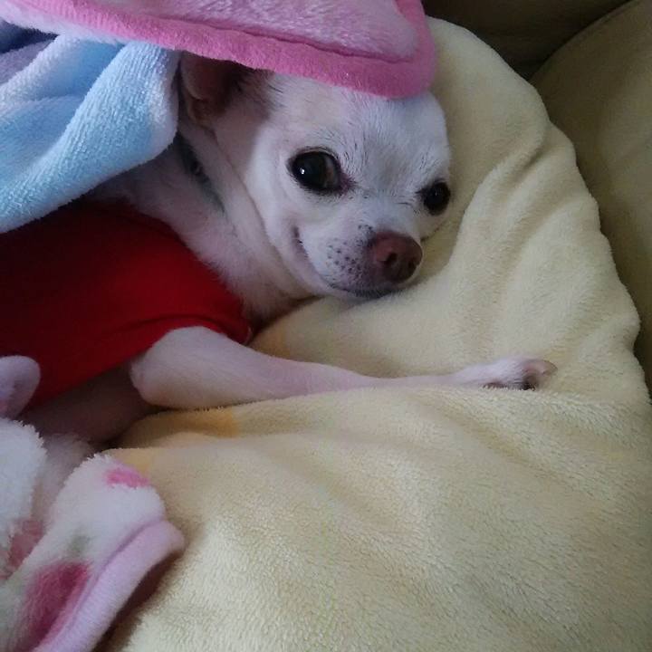 86533b05 6313 4070 8f6a b00524b678b4