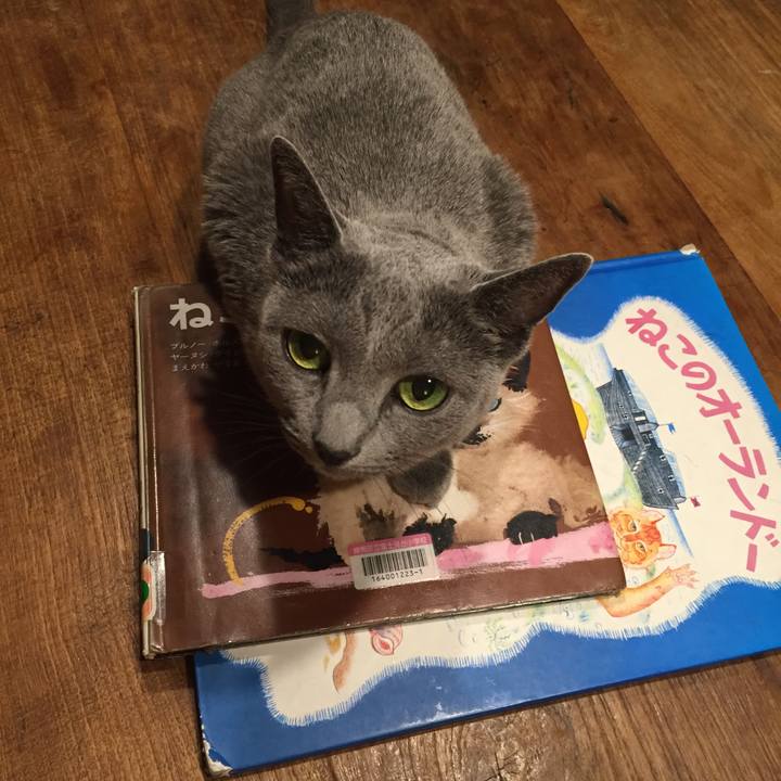 86537516 f26b 4b3f a8c7 0aeab6749ca1