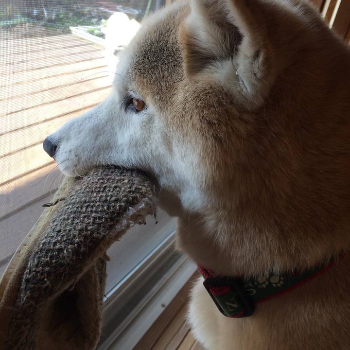 8653aaf6 39d9 4d21 9db3 2d8dee6f0cbf