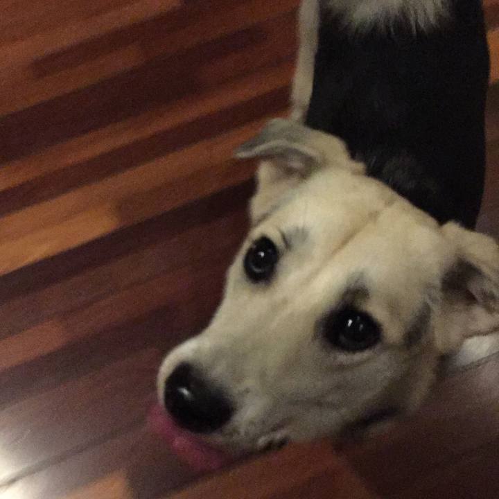 8653c5fd 7860 43e4 9b94 d9e0bc1885f0