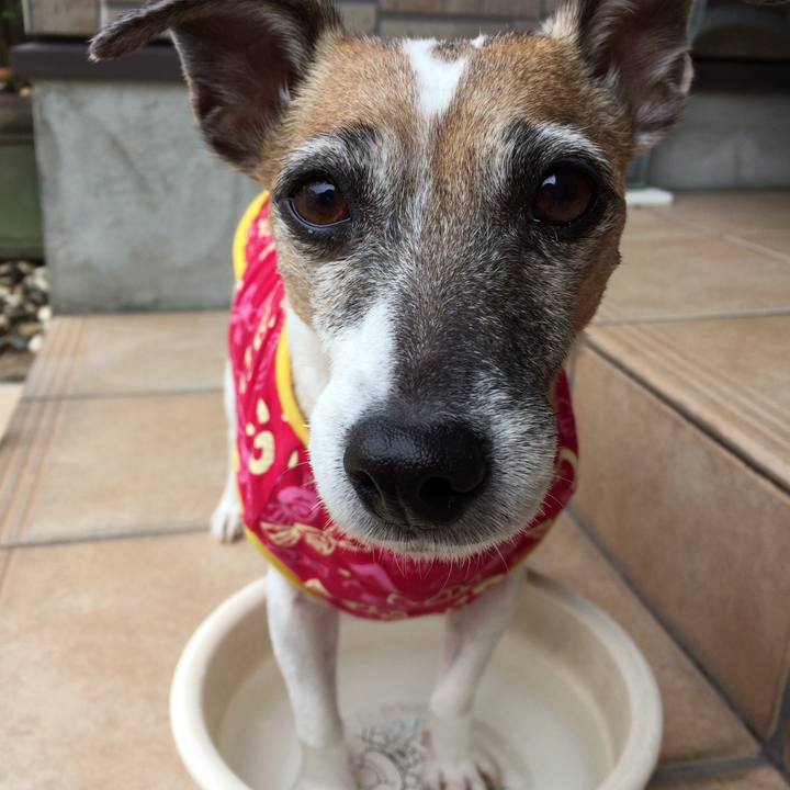 8653cb31 f258 4a0e 9219 6b8b0744e5fc