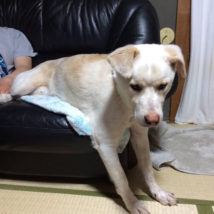 8654261a 98d5 4e66 86be 3cb124ff7818