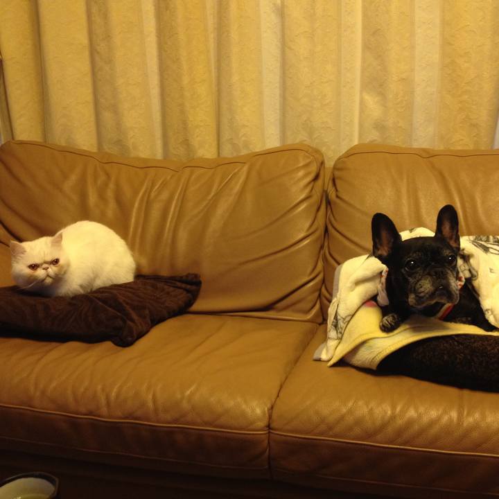 86542bc6 d596 438e bc61 a6547984cdc1