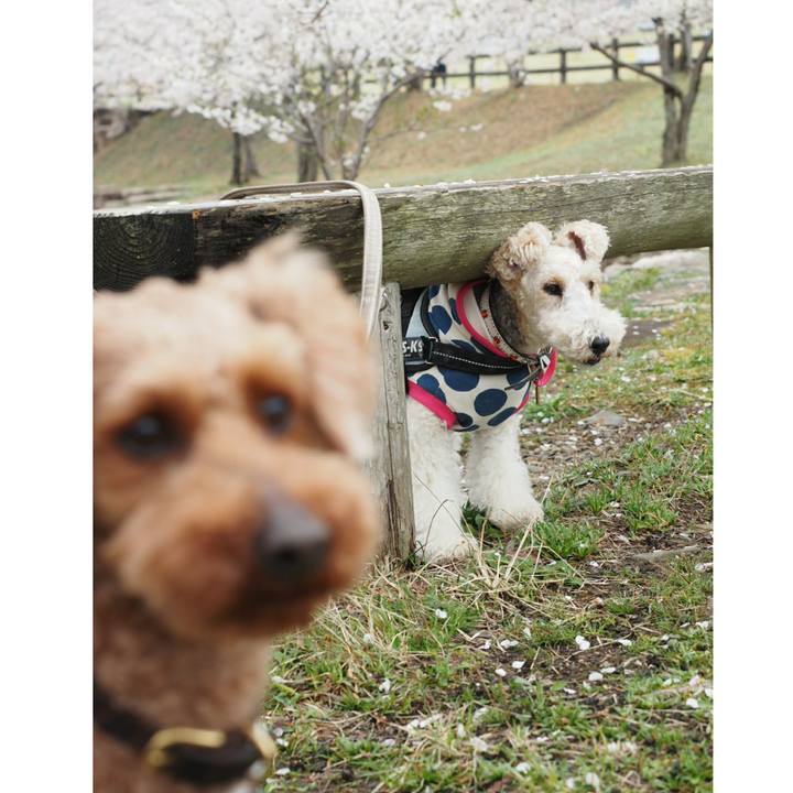 8654390c e579 4ce4 9535 e09cbb096e7e