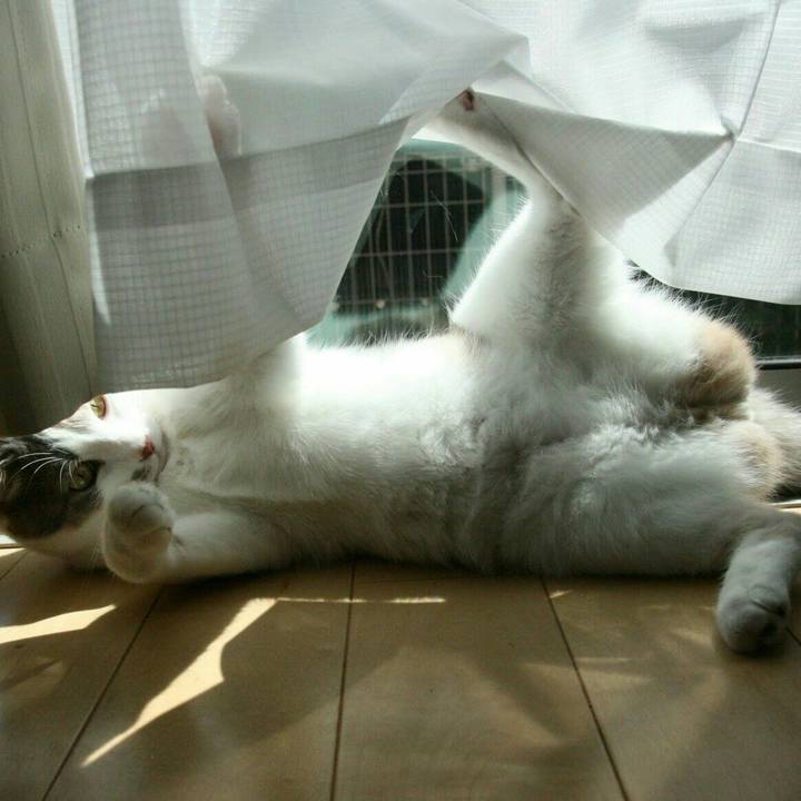 86546340 1848 423f 94f3 c49804a4f229