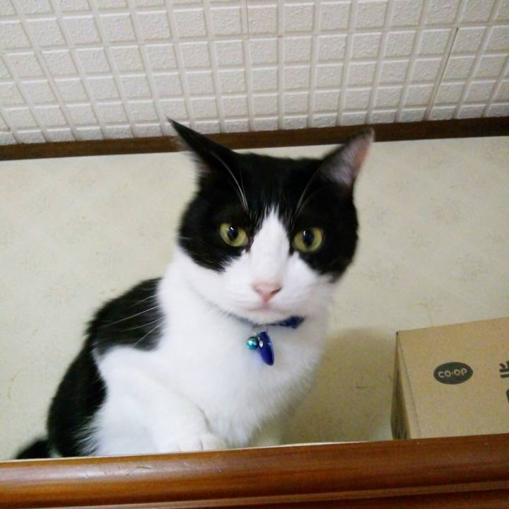 8654c864 f09b 4674 8c75 66ddcfd609ac