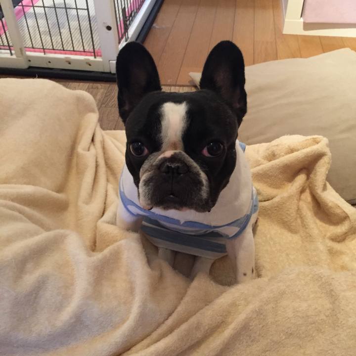 86551457 0d2f 4127 a1c2 25fb375af483