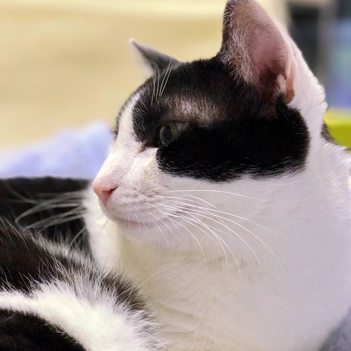 86560ccb 6128 40a3 ac4b bdbfd0ed60a9