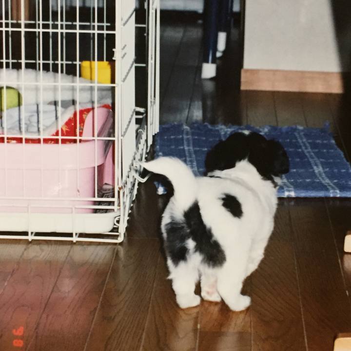 865641a6 8b49 455a 9afa f80aebc0a114