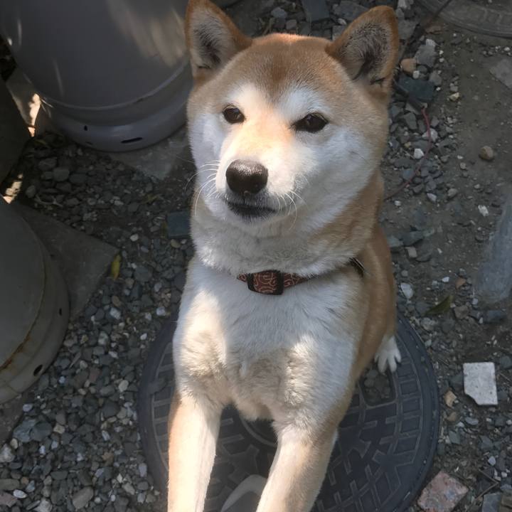 86566499 a318 4e7d a731 36d97f9a0360