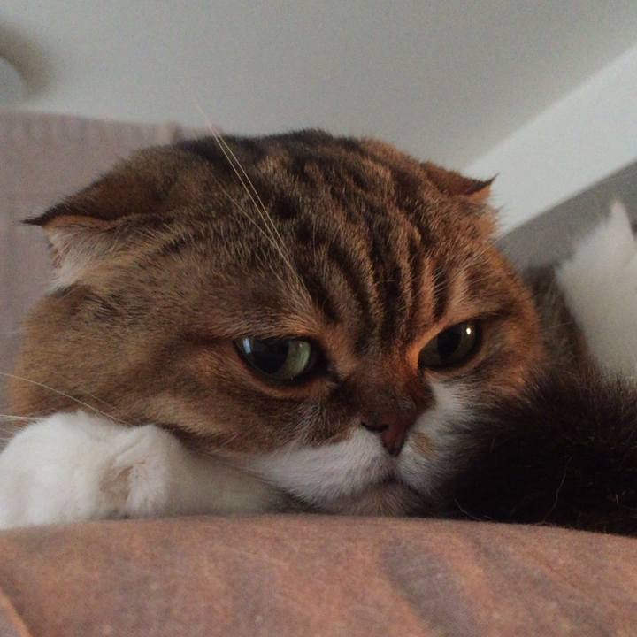 8656a7ac cfbc 48e6 b89e 6586e98daf1e