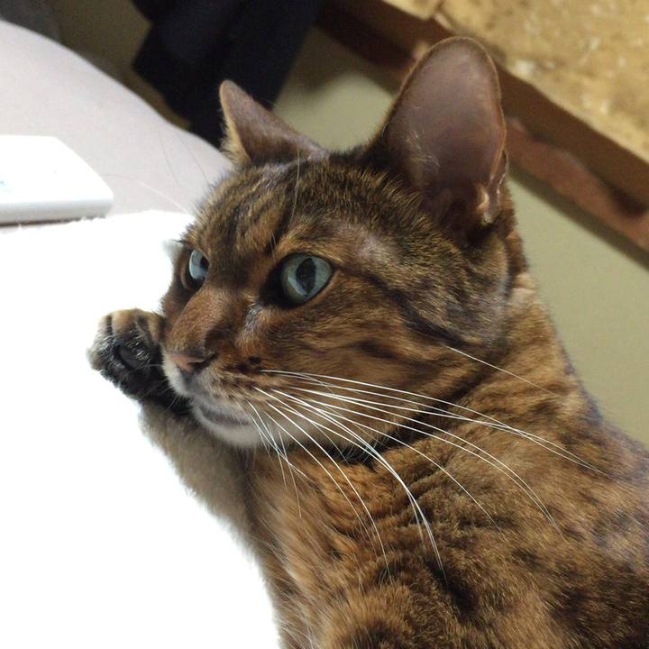 8656d873 67f7 4aa1 ba70 fa5da6dfaac8