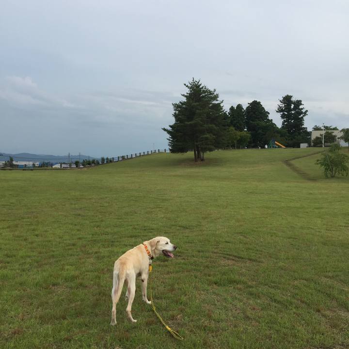 86578c7b 4779 45eb a7cd 09c8104c8139