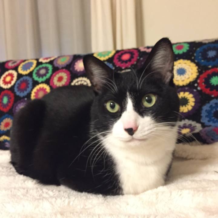 8657b19d 06de 4784 becb 0dba37afedfb