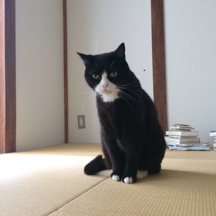 8657b557 2306 455f 8bf0 31a3c20b71c6