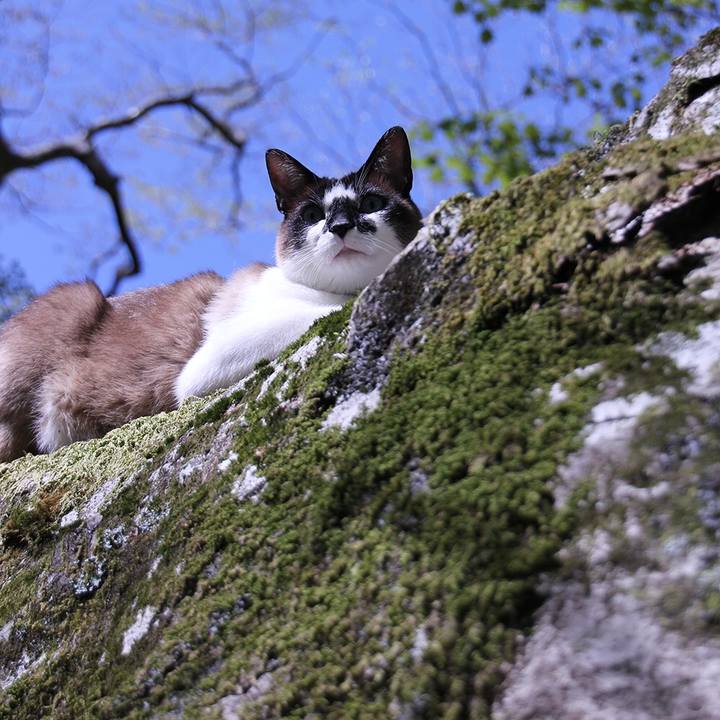 86584372 e184 4f7c 8210 c7dd61124b7f