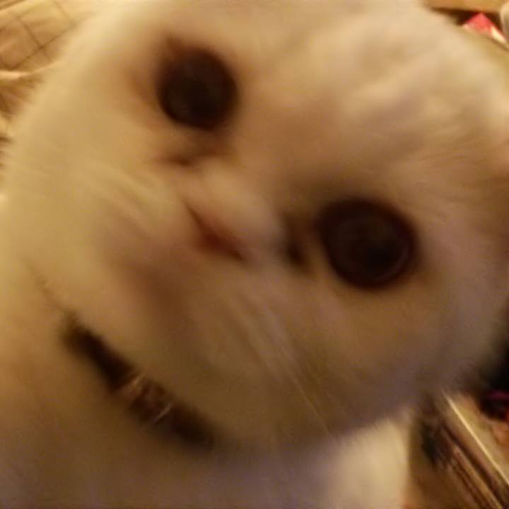 8658a09d b1ca 41eb a17b 6b568f326ed3