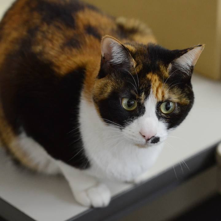 86595bab fb38 4793 bc6f 5d79e72f62d5