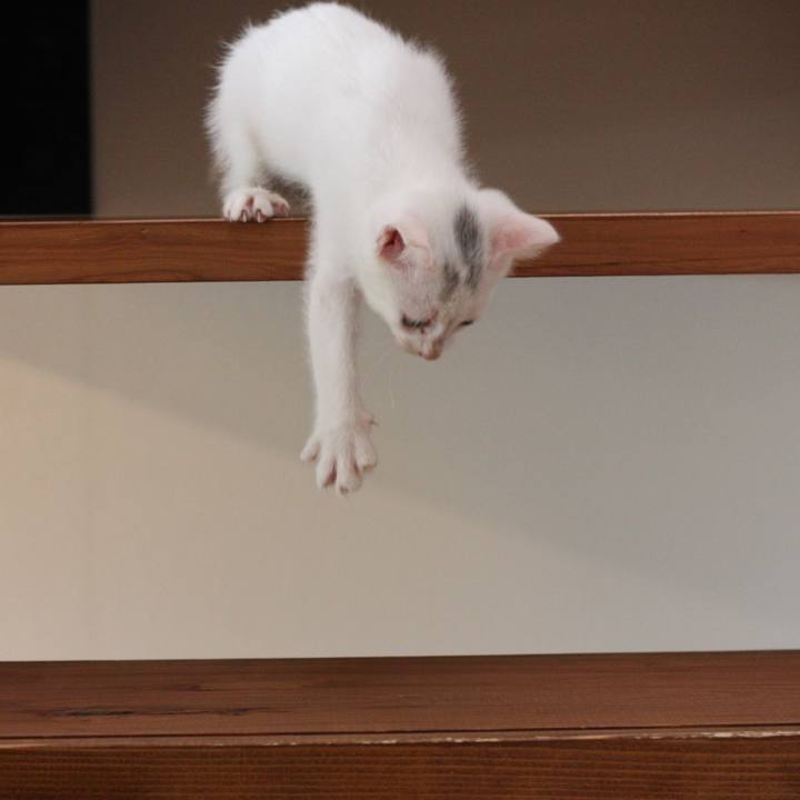 86596d59 cfd6 4b49 afea 4d3b7816f3a8