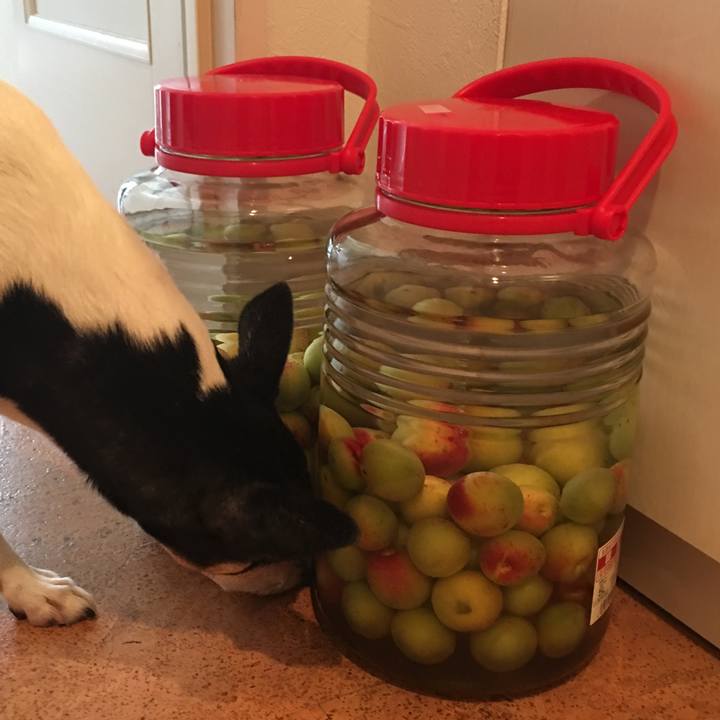 865a784e 9d06 4957 a8c3 a74141e05fdd