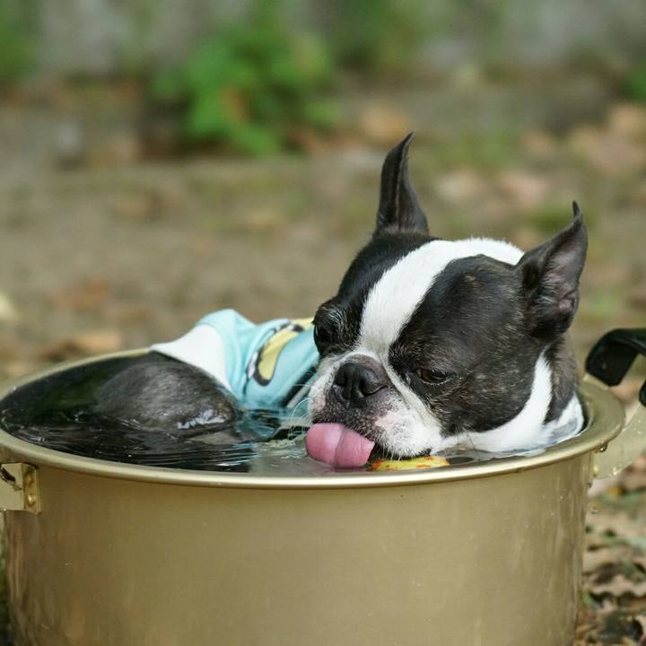 865b16c4 bdd6 46d9 bdac 0e3444c5cdd2