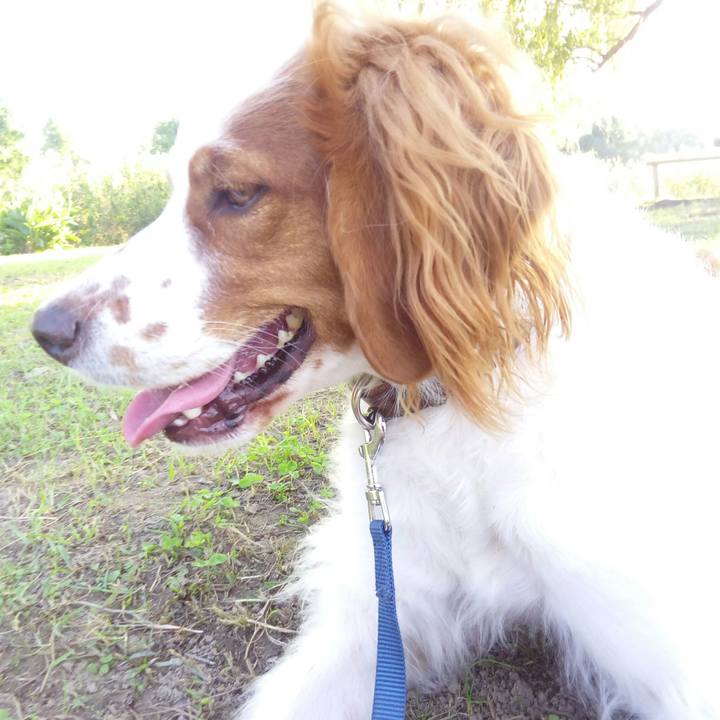 865b3052 ebfa 4d9d b555 0a8774d6255d