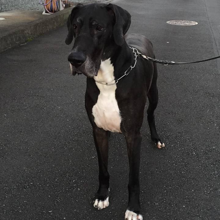 865b3127 6ee4 4ade 87b7 2dededdbe2b4