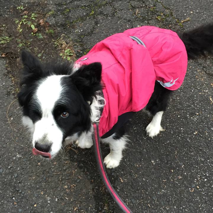 865b6de5 d507 4300 b7fb e3dcbee20acf