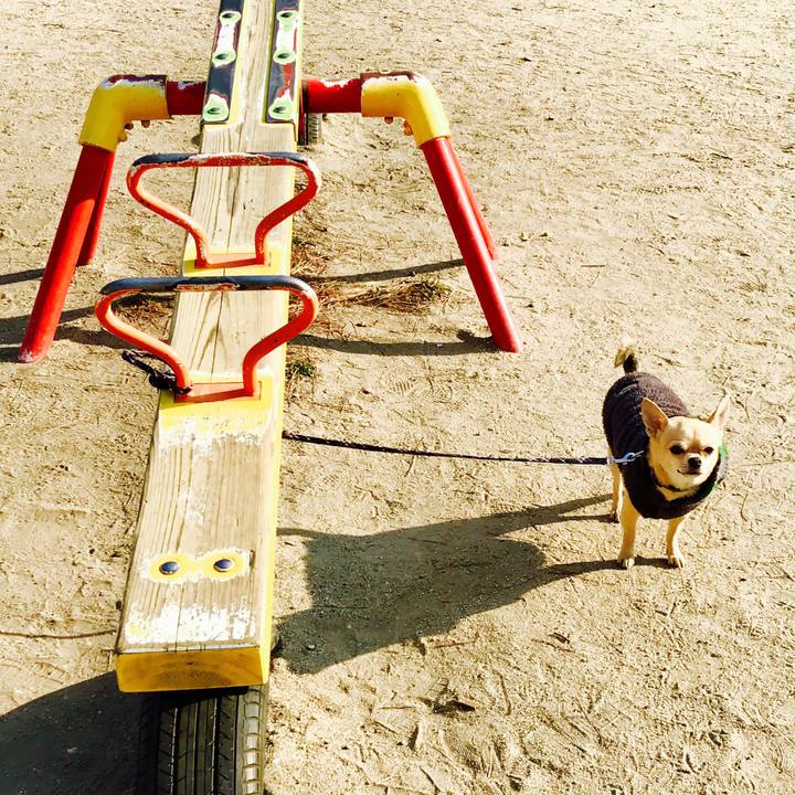 865baced b170 4f01 aa15 b7c742864b35