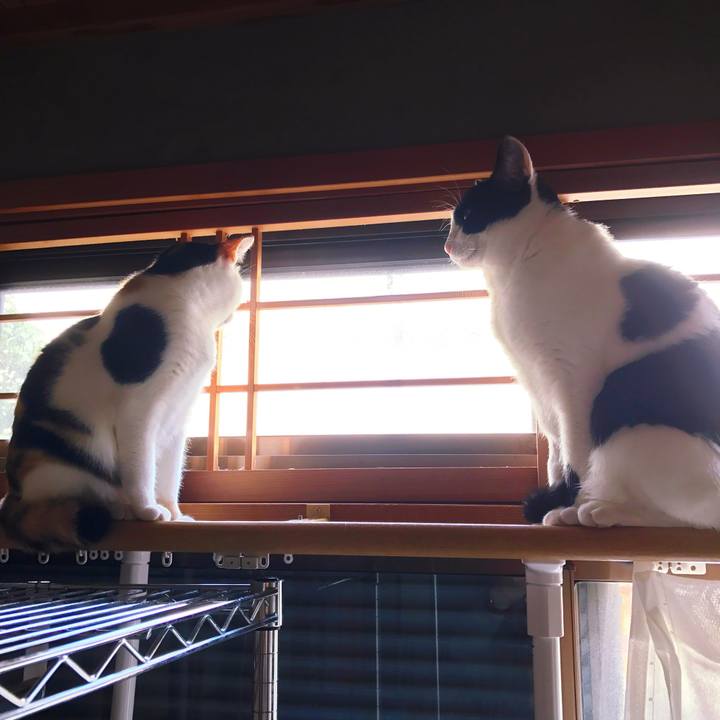 865bb49b bc06 44b5 95eb f0b9bae3d437