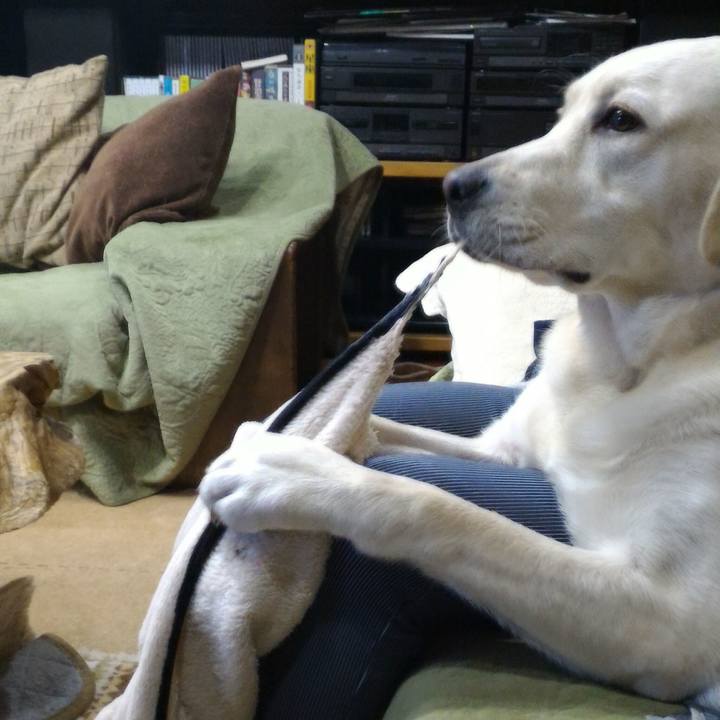 865bbec3 75d7 4c93 a201 cc9cc15869b6