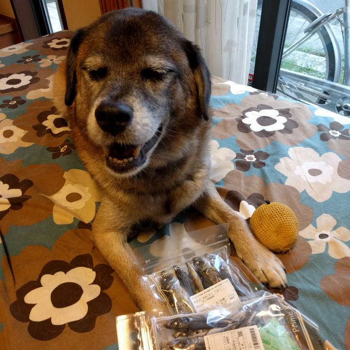 865bfb97 b1cd 4c7f 9354 01c400352517