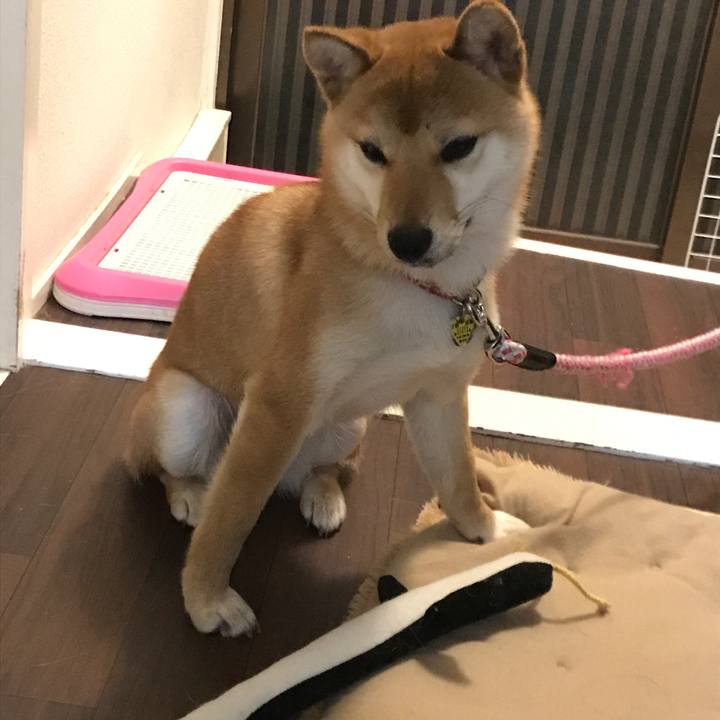 865c0ec0 0aca 4d6e 8d68 615f2a306ac7