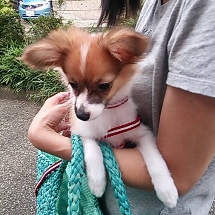 865cde4a 09fa 4638 9416 95be0068c308