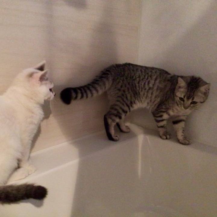 865ce2d3 bb38 440c a40f 0d58b0bef6d2