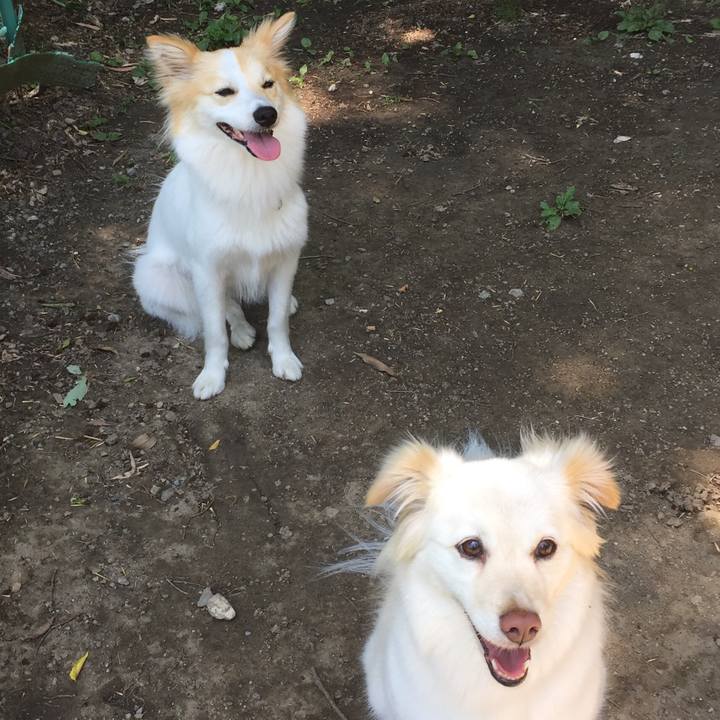 865d1115 86f2 4447 a1b1 9ddd00bbfe57